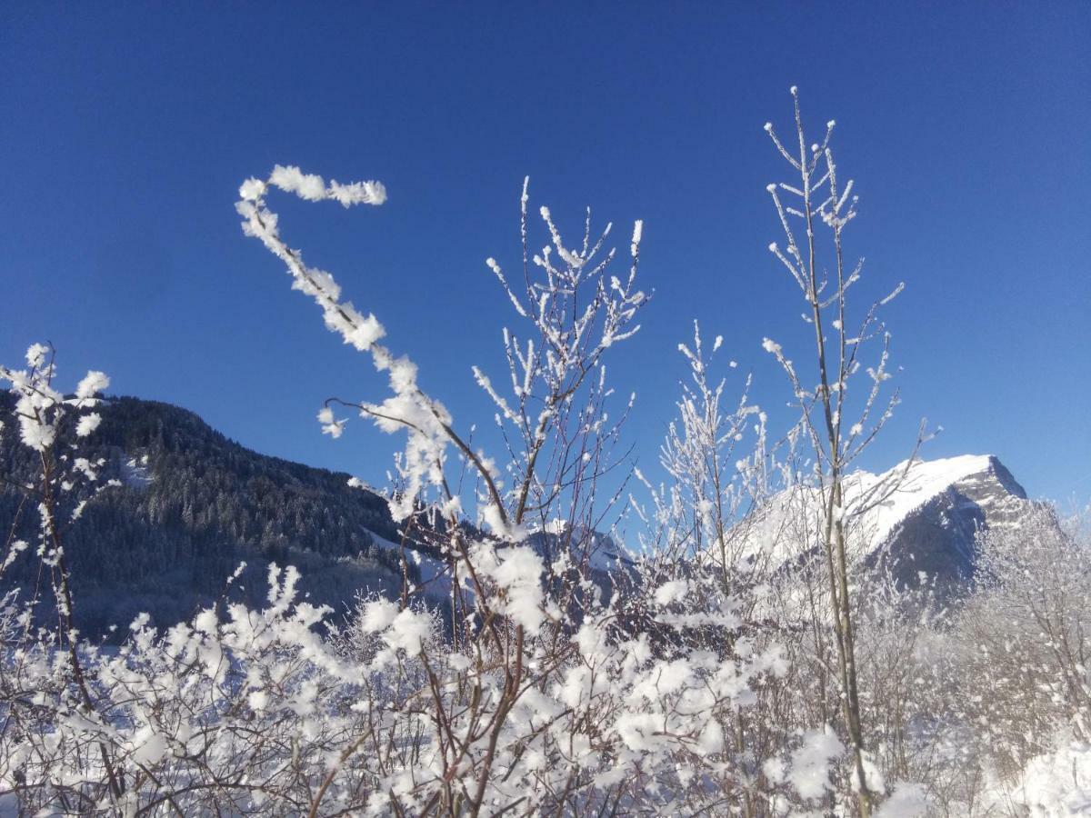 Gaestehaus Pfandl Au (Vorarlberg) Zewnętrze zdjęcie