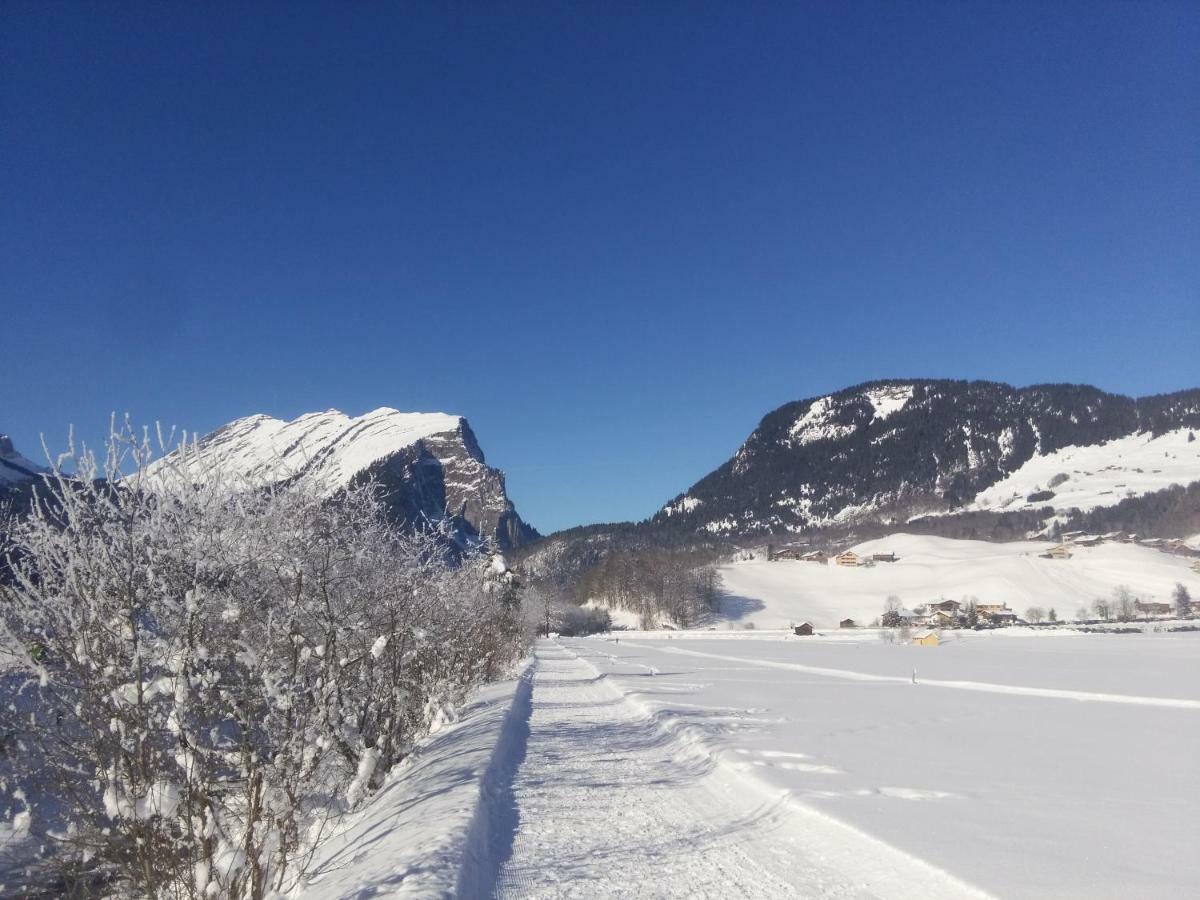 Gaestehaus Pfandl Au (Vorarlberg) Zewnętrze zdjęcie