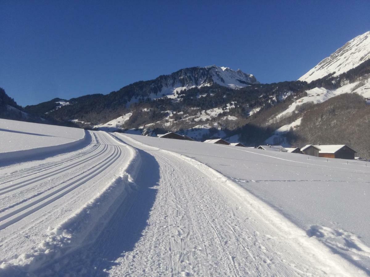 Gaestehaus Pfandl Au (Vorarlberg) Zewnętrze zdjęcie